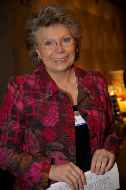 Mme Viviane Reding